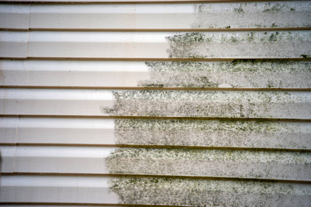 Best Siding for Commercial Buildings  in Front Royal, VA