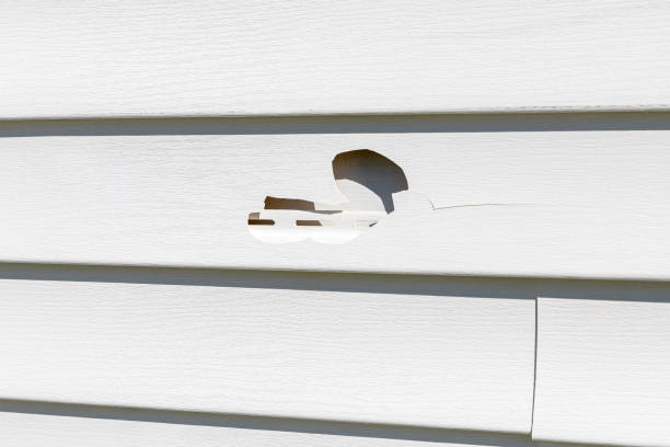 Best Storm Damage Siding Repair  in Front Royal, VA