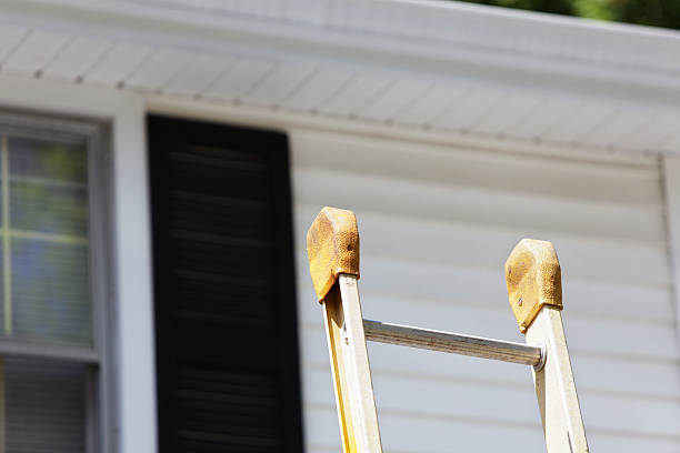 Best Custom Siding Design  in Front Royal, VA
