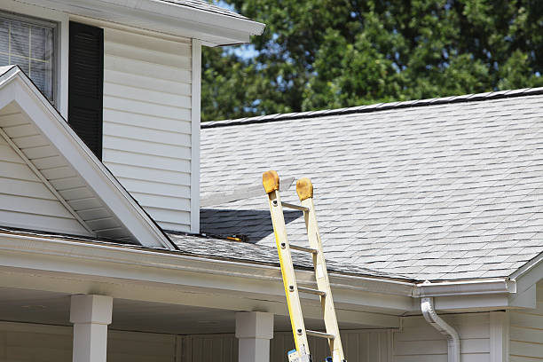 Best Historical Building Siding Restoration  in Front Royal, VA